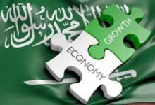 برامج الدعم الحكومي في السعودية