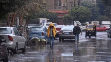 النهاردة كام أمشير