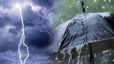 حالة الطقس غداً