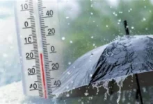 حالة الطقس في الإسكندرية اليوم