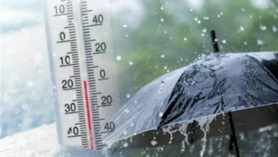 حالة الطقس في الإسكندرية اليوم