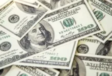 سعر الدولار اليوم في مصر مقابل الجنيه المصري