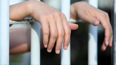 ما هي عقوبة نشر معلومات طبية كاذبة ؟