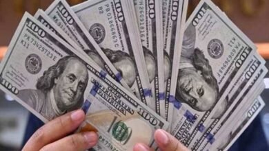 سعر الدولار اليوم مقابل الجنيه المصري في البنوك والسوق السوداء