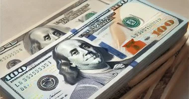 سعر الدولار