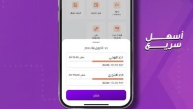 هل يمكن التحويل من إنستاباي إلى فوري؟