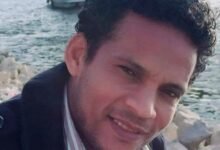 الشاعر سيد العديسي