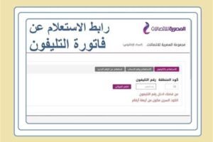 رابط الاستعلام عن فاتورة الإنترنت الأرضي WE لشهر يوليو 2026