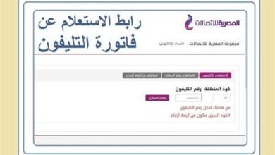 رابط الاستعلام عن فاتورة الإنترنت الأرضي WE لشهر يوليو 2026