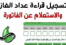 رابط الاستعلام عن فاتورة الغاز الطبيعي 