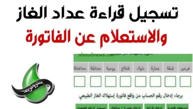 رابط الاستعلام عن فاتورة الغاز الطبيعي 