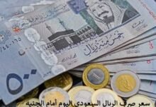 سعر الريال السعودي مقابل الجنيه المصري