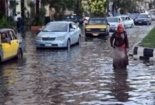 أسماء نوات الإسكندرية 2026