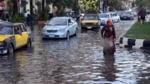 أسماء نوات الإسكندرية 2026