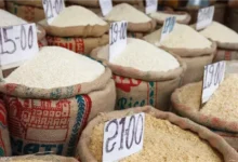 سعر طن الأرز اليوم