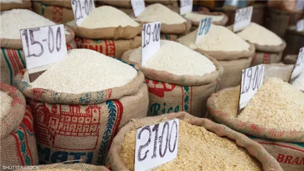 سعر طن الأرز اليوم