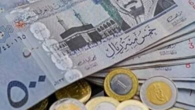 تحويل الريال السعودي إلى الجنيه المصري اليوم