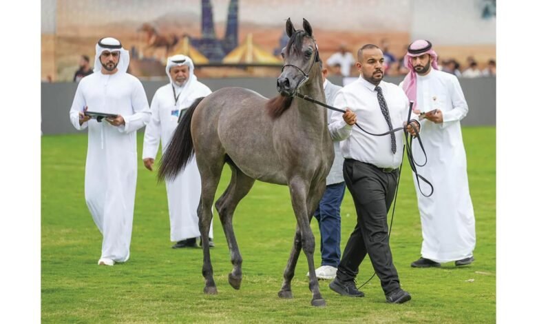 الخيول